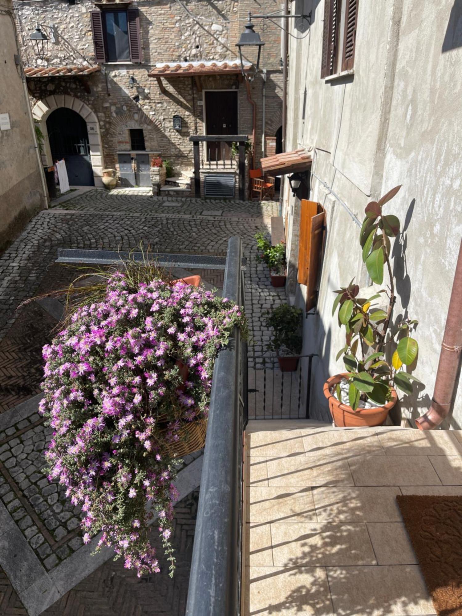 Appartement Il Borghetto à Mentana Extérieur photo