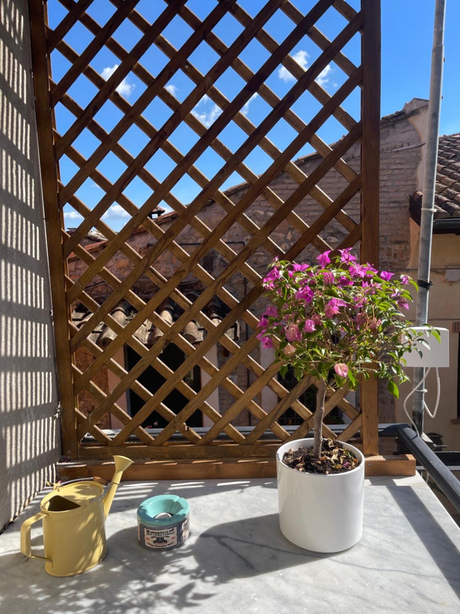 Appartement Il Borghetto à Mentana Extérieur photo